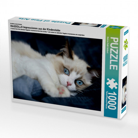 CALVENDO Puzzle CALVENDO Puzzle RAGDOLLS Impressionen aus der Kinderstube Пазл CALVENDO Пазл RAGDOLLS Впечатления из детской