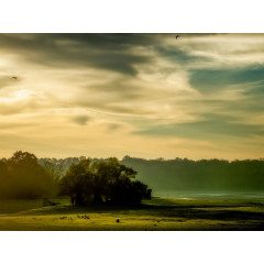 CALVENDO Puzzle CALVENDO Puzzle Sonnenaufgang auf den Wiesen Пазл CALVENDO Puzzle Восход солнца на лугах