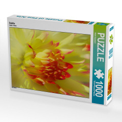 CALVENDO Puzzle CALVENDO Puzzle Dahlie Пазл CALVENDO Пазл Далия