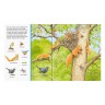 Ravensburger Sachen suchen: Tiere im Wald Ищу вещи: животные в лесу