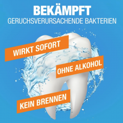 The Breath Co Frischer Atem Mundspulung Icy Mint 500ml, Ополаскиватель для рта от неприятного запаха, без спирта, антибактериальный, мятный, 12 часов свежести, 500 мл