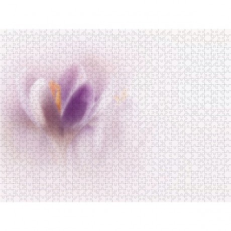 CALVENDO Puzzle CALVENDO Puzzle Farbtupfer der Natur Пазл CALVENDO Puzzle Всплеск цвета от природы