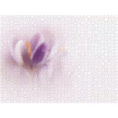 CALVENDO Puzzle CALVENDO Puzzle Farbtupfer der Natur Пазл CALVENDO Puzzle Всплеск цвета от природы