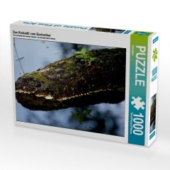 CALVENDO Puzzle CALVENDO Puzzle Das Krokodil vom Eselweiher Пазл CALVENDO Puzzle Крокодил из ослиного пруда