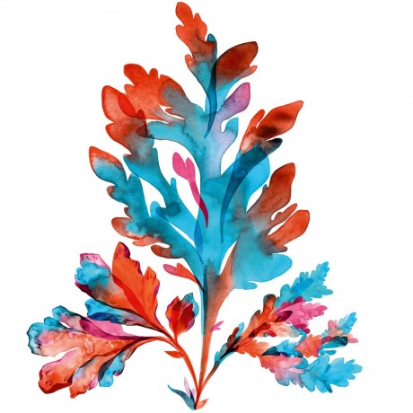 Yves Rocher Pure Algue Ultra-Erfrischendes Reinigungsgel  Ультраосвежающий очищающий гель Pure Algue