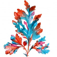 Yves Rocher Pure Algue Ultra-Erfrischendes Reinigungsgel  Ультраосвежающий очищающий гель Pure Algue