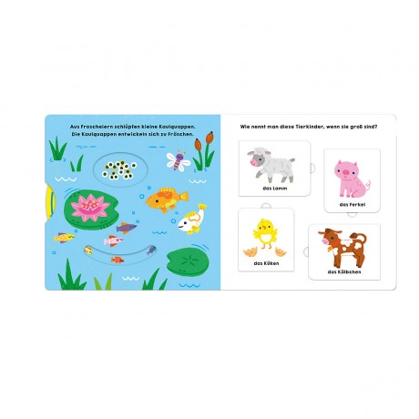 Sauerlander Verlag Glucksfisch: Alles wachst! Глюки Фиш: Все растет!