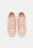 Tommy Hilfiger ELEVATED ESSENTIAL COURT Trainers misty blush ПОВЫШЕННЫЙ ESSENTIAL COURT Кроссовки туманный румянец