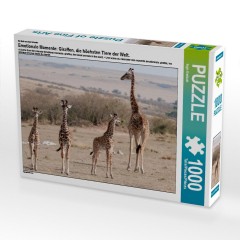 CALVENDO Puzzle CALVENDO Puzzle Emotionale Momente: Giraffen Пазл CALVENDO Puzzle Эмоциональные моменты: Жирафы