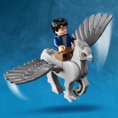 LEGO Harry Potter Hagrids Hutte: Seidenschnabels Rettung Хатте Гарри Поттера Хагрида: Спасение Клювокрыла