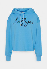 Tommy Hilfiger RELAXED SCRIPT HOODIE Sweatshirt hydrangea blue RELAXED SCRIPT HOODIE Свитер гортензия синяя