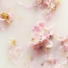 Rituals The Ritual Of Sakura Hands &amp; Lips Balm Duo  Двойной бальзам для рук и губ