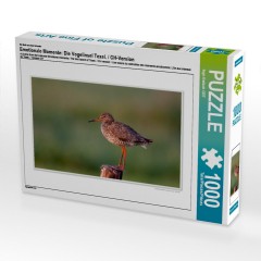CALVENDO Puzzle CALVENDO Puzzle Emotionale Momente: Die Vogelinsel Texel. \/ CH-Version Пазл CALVENDO Пазл Эмоциональные моменты: Птичий остров Тексел. \/ версия CH