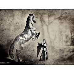 CALVENDO Puzzle CALVENDO Puzzle Zephyr und die weisse Dame Пазл CALVENDO Пазл Зефир и белая дама