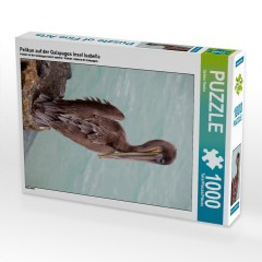 CALVENDO Puzzle CALVENDO Puzzle Pelikan auf der Galapagos Insel Isabella Пазл CALVENDO Puzzle Pelican на галапагосском острове Изабелла