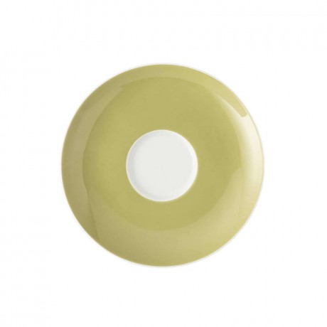 Thomas Thomas Sunny Day Avocado Green Kaffeeuntertasse / Teeuntertasse / Kombiuntertasse 14,5 cm Thomas Sunny Day Avocado Green кофейное блюдце / чайное блюдце / комбинированное блюдце 14,5 см
