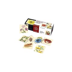 Maria Sibylla Merian. Memo (Spiel) Мария Сибилла Мериан. памятка (игра)