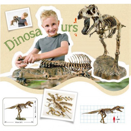 Edu-Toys XL Tyrannosaurus Rex Skelett 91cm T-Rex XL Tyrannosaurus Rex Скелет 91 см T-Rex