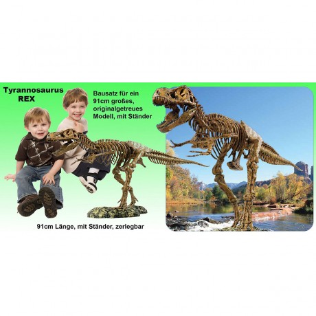 Edu-Toys XL Tyrannosaurus Rex Skelett 91cm T-Rex XL Tyrannosaurus Rex Скелет 91 см T-Rex
