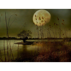 CALVENDO Puzzle CALVENDO Puzzle Sehnsucht der Natur Пазл CALVENDO Puzzle Тоска природы