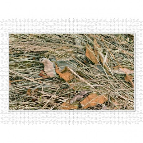 CALVENDO Puzzle CALVENDO Puzzle Emotionale Momente: Einfach Heu. \/ CH-Version Пазл CALVENDO Puzzle Эмоциональные моменты: просто сено. \/ версия CH