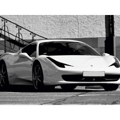 CALVENDO Puzzle CALVENDO Puzzle Der Wagen weisses Pferd mit 570 PS Пазл CALVENDO Puzzle Повозка белого коня с 570 л.с.