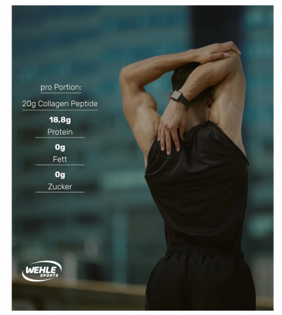 Wehle Sports pulver 1000g, Коллаген гидролизованный порошок, тип I II III, поддержка суставов, кожи и мышц каждый день, без вкуса, Германия, 1000 г
