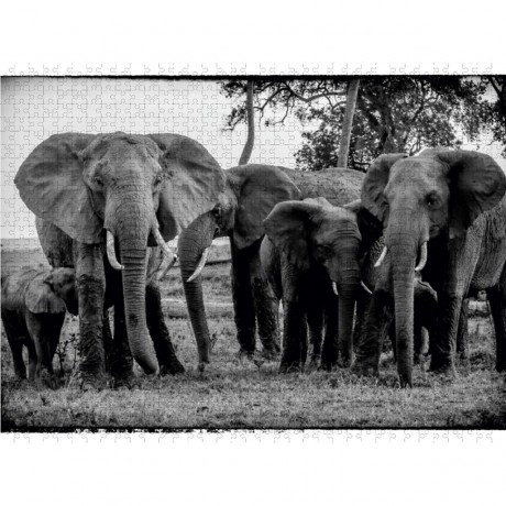 CALVENDO Puzzle CALVENDO Puzzle Die Familie Пазл CALVENDO Пазл Семья