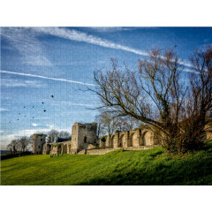 CALVENDO Puzzle CALVENDO Puzzle In der Nahe der Wande Пазл CALVENDO Puzzle У стен