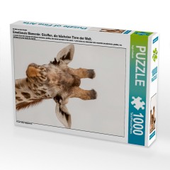 CALVENDO Puzzle CALVENDO Puzzle Emotionale Momente: Giraffen Пазл CALVENDO Puzzle Эмоциональные моменты: Жирафы