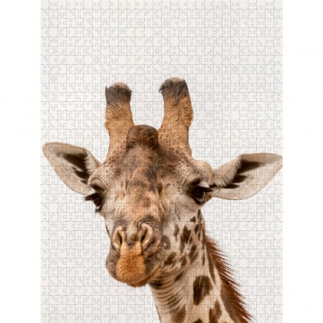 CALVENDO Puzzle CALVENDO Puzzle Emotionale Momente: Giraffen Пазл CALVENDO Puzzle Эмоциональные моменты: Жирафы