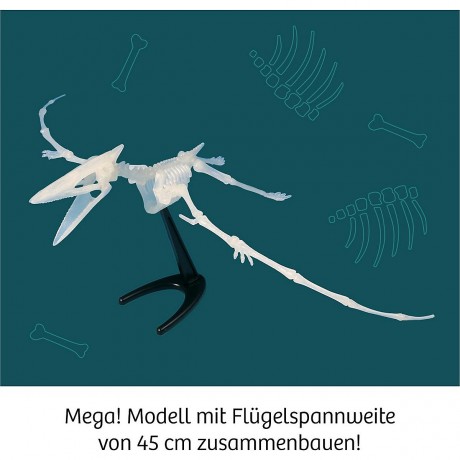 Kosmos Nachtleuchtender Flugsaurier Серебристый птеродактиль