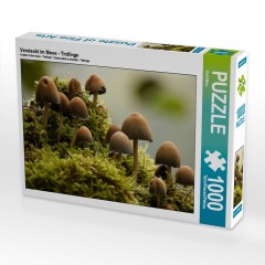 CALVENDO Puzzle CALVENDO Puzzle Versteckt im Moos Пазл CALVENDO Puzzle Спрятанный во мху