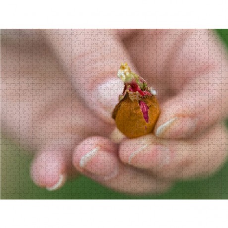 CALVENDO Puzzle CALVENDO Puzzle Emotionale Momente: Mandeln Пазл CALVENDO Puzzle Эмоциональные моменты: Миндаль