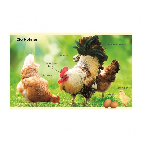 Dorling Kindersley Verlag Erstes Lernen mini: Bauernhof Первое обучающее мини: ферма