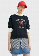 Tommy Hilfiger ARCHED LOGO MONOGRAM Sweatshirt desert sky ARCHED LOGO MONOGRAM Толстовка небо пустыни