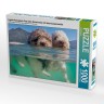 CALVENDO Puzzle CALVENDO Puzzle Lagotto Romagnolo Paar beim Schwimmen mit Unterwasseransicht Пазл CALVENDO Puzzle Lagotto Romagnolo Пара