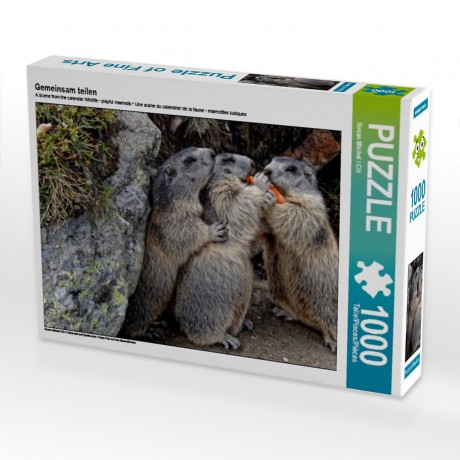 CALVENDO Puzzle CALVENDO Puzzle Gemeinsam teilen Пазл CALVENDO Puzzle Поделиться вместе