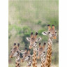 CALVENDO Puzzle CALVENDO Puzzle Emotionale Momente: Giraffen Пазл CALVENDO Puzzle Эмоциональные моменты: Жирафы