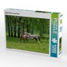 CALVENDO Puzzle CALVENDO Puzzle Wilde Pferde in in der Prarie Пазл CALVENDO Puzzle Дикие лошади в прериях