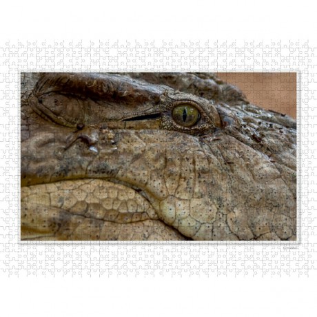 CALVENDO Puzzle CALVENDO Puzzle Emotionale Momente: Die Augen der Tiere. \/ CH-Version Пазл CALVENDO Пазл Эмоциональные моменты: Глаза животных. \/ версия CH