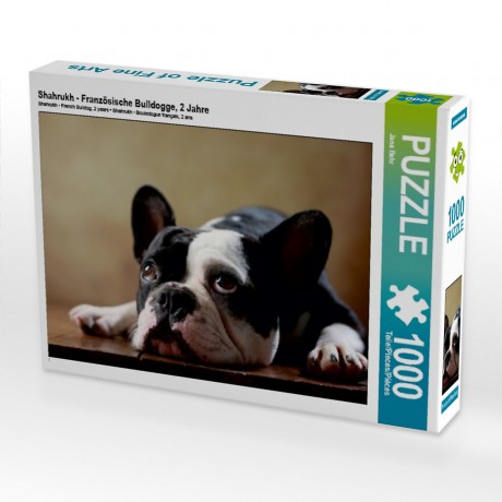 CALVENDO Puzzle CALVENDO Puzzle Shahrukh Пазл CALVENDO Пазл Шахрукх