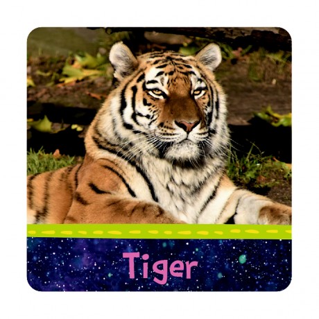 Coppenrath Verlag Memo-Spiel памятная игра