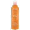 Aveda Sun Care Hair & Body Cleanser Солнцезащитное очищающее средство для волос и тела