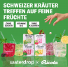 Ricola Waterdrop 12st x 4packs, растворимые кубики для напитков, с натуральными альпийскими травами и витаминами, без сахара, 12 шт x 4 упаковки 