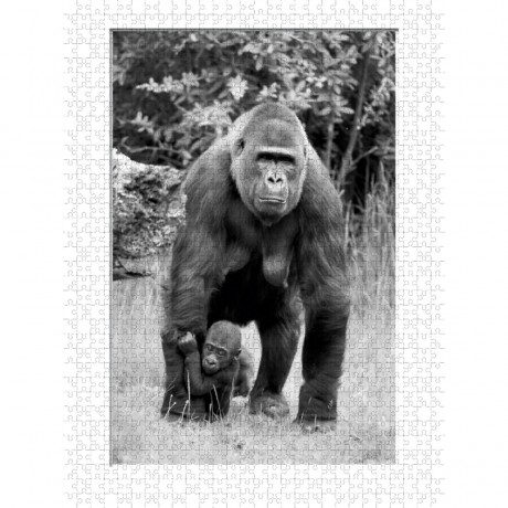 CALVENDO Puzzle CALVENDO Puzzle Emotionale Momente: Gorillas in black white \/ CH-Version Пазл CALVENDO Puzzle Эмоциональные моменты: гориллы в черно-белом / Швейцарская версия