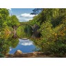 CALVENDO Puzzle CALVENDO Puzzle Rakotzbrucke im Rhododrendronpark Kromlau Пазл CALVENDO Puzzle Rakotzbrucke в Кромлауском парке рододрендронов