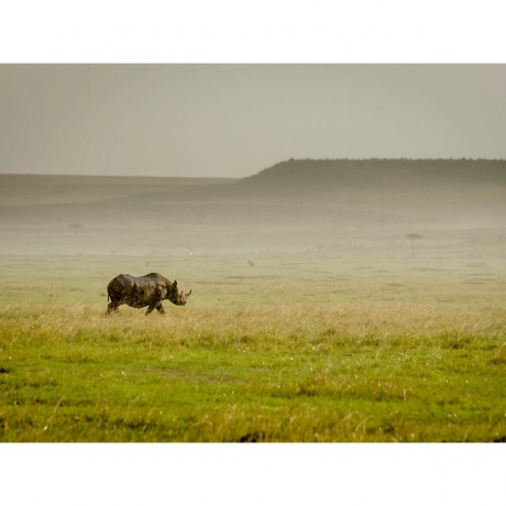 CALVENDO Puzzle CALVENDO Puzzle Im Regen Пазл CALVENDO Puzzle Под дождем