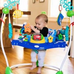 Baby Einstein Baby Einstein Малыш Эйнштейн