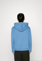 Tommy Hilfiger REGULAR Hoodie sky cloud ОБЫЧНЫЙ Толстовка с капюшоном небо облако